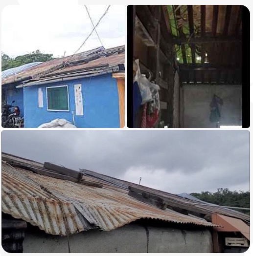 台東鹿野鄉邱先生與潘先生新建案